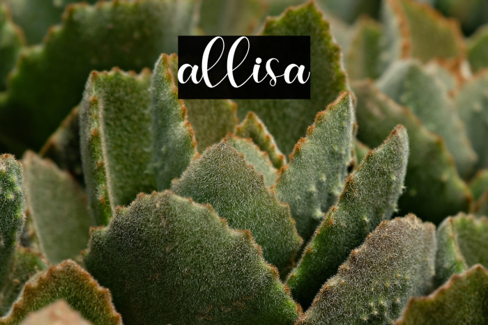 allisa Example 3