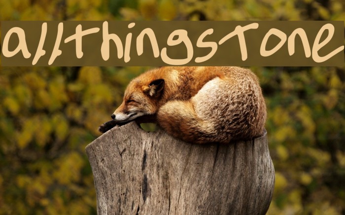 allthingsTone Font examples