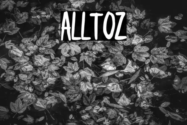 alltoz Font examples