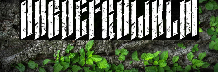 almanacitalicgrunge Example 3