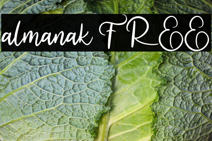 almanak FREE Example 1