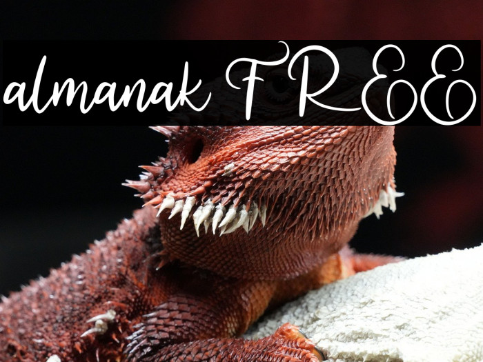 almanak FREE Example 3