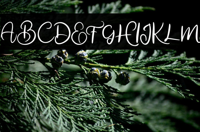 almanakFREE Example 1