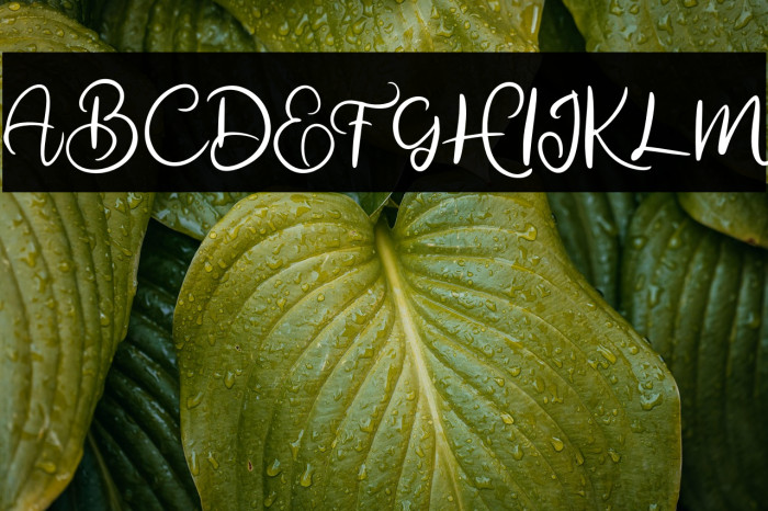 almanakFREE Example 2