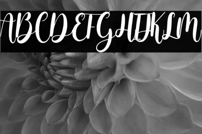 almeira Font examples