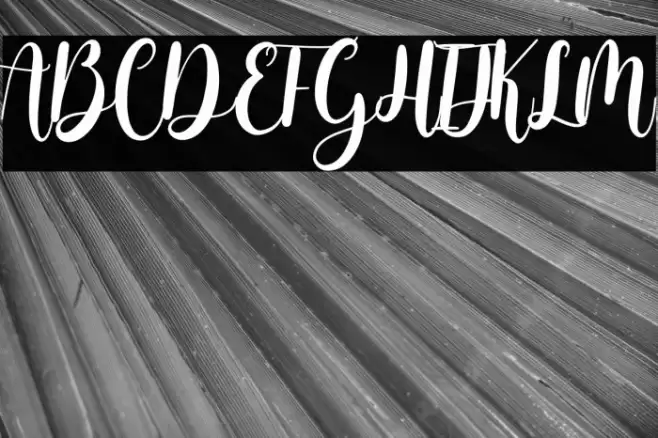 almeira Font examples