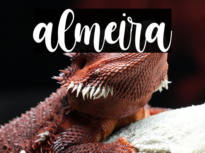 almeira Example 1