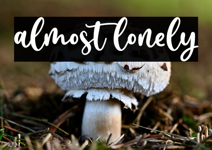 almost lonely Example 1