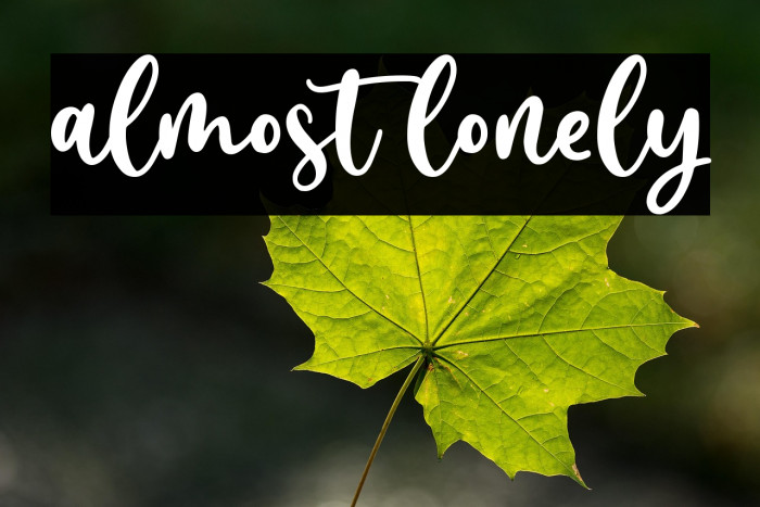 almost lonely Example 3