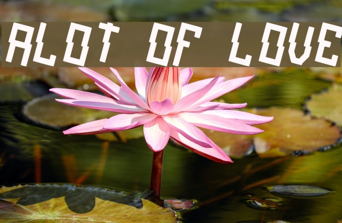 alot of love Font examples