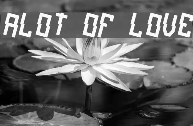 alot of love フォント examples