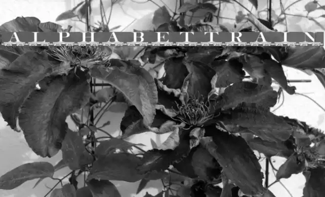 alphabettrain Schriftart examples