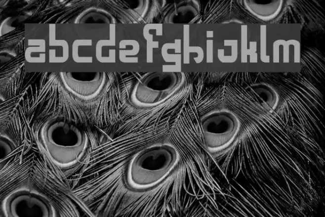 alphabold Schriftart examples