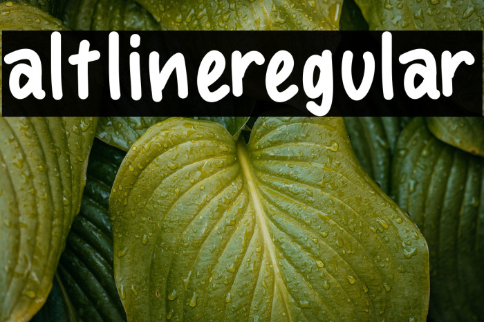 altlineregular Example 2