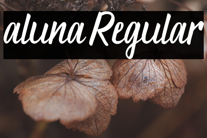 aluna Regular Example 1