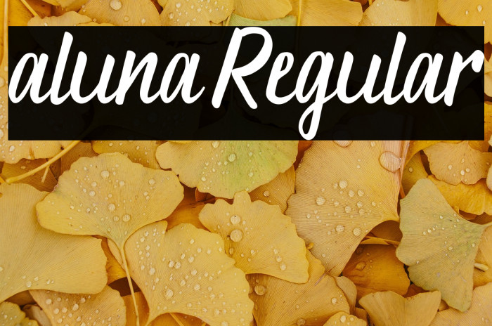 aluna Regular Example 3