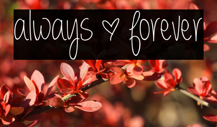 always * forever Example 3