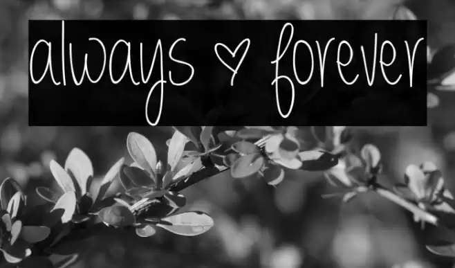 always * forever Font examples