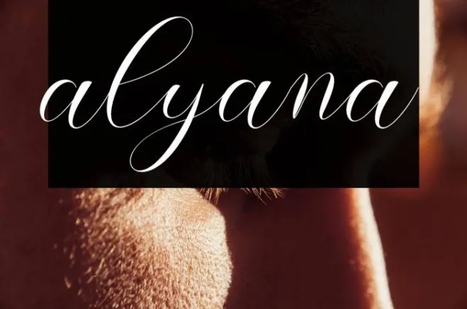 alyana Example 2