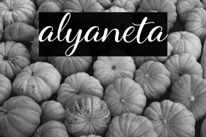 alyaneta Font examples
