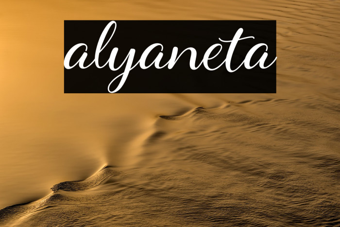 alyaneta Example 3