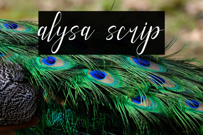 alysa scrip Example 2