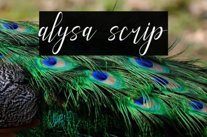 alysa scrip Example 2