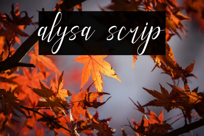 alysa scrip Example 3