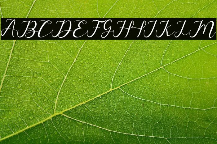 alysascrip Example 3