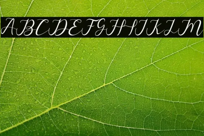 alysascrip Example 3