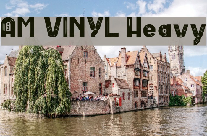 AM VINYL Heavy Font examples