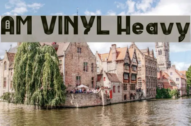 AM VINYL Heavy Example 2
