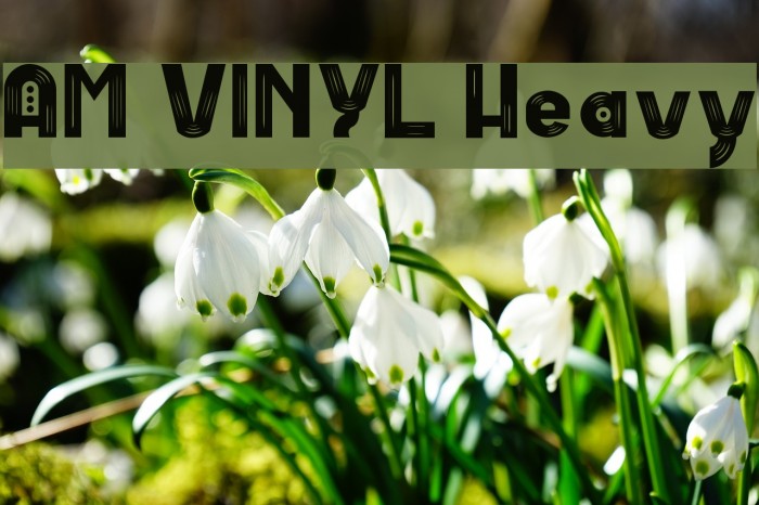 AM VINYL Heavy Font examples