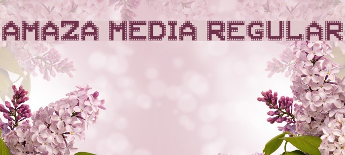 AMAZA MEDIA Regular Font examples