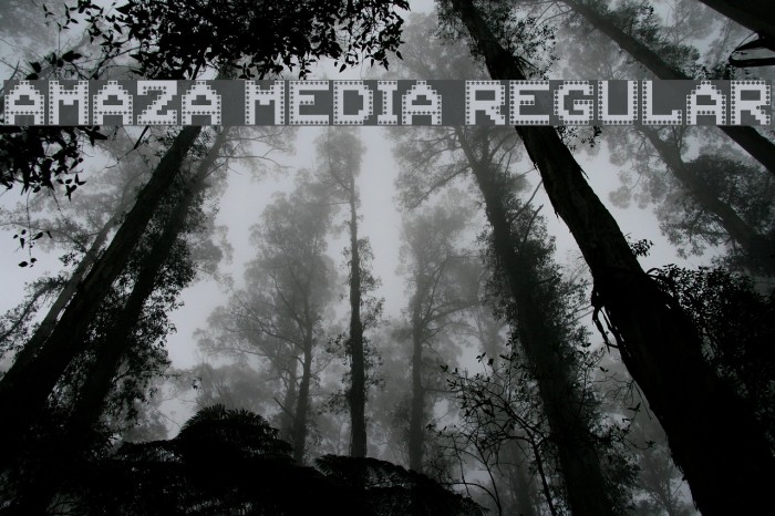 AMAZA MEDIA Regular Font examples