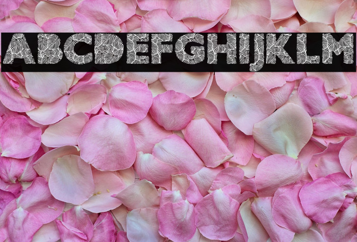 AMAZONIC PERSONAL USE Bold Example 1