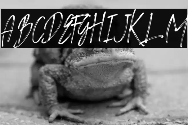 AMBYAR Font examples