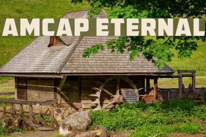 AMCAP Eternal Example 3
