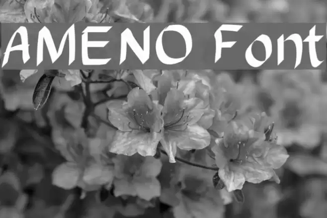 AMENO Font examples