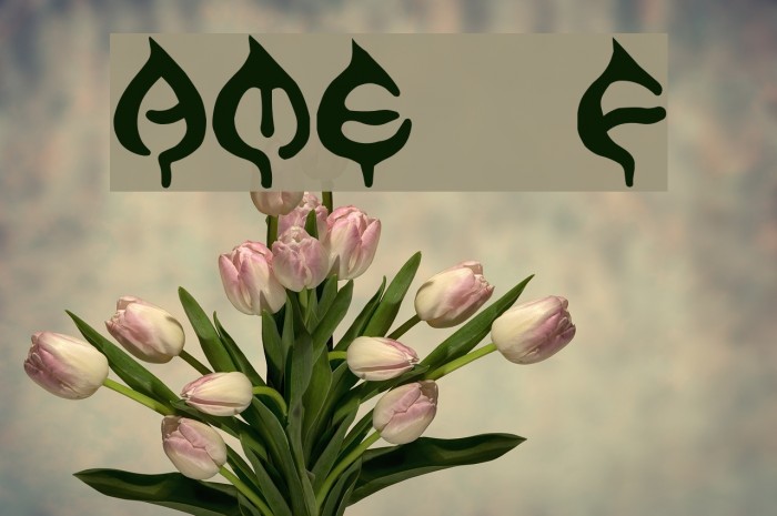 AME- Font examples