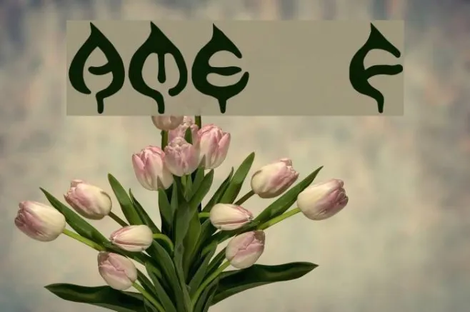 AME- Example 2