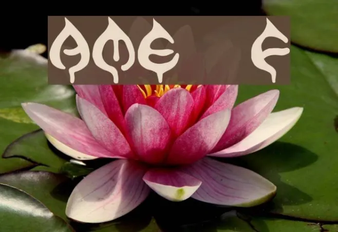 AME- Example 3