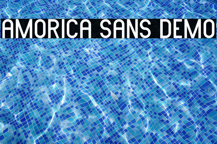 AMORICA SANS DEMO Example 2
