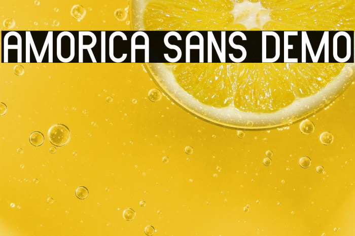 AMORICA SANS DEMO Example 3
