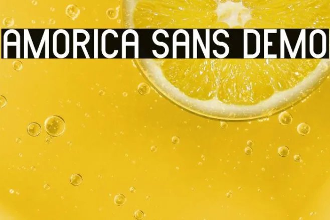AMORICA SANS DEMO Example 3
