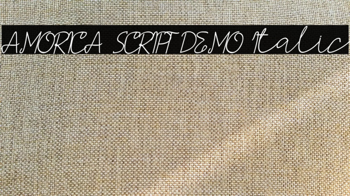 AMORICA SCRIPT DEMO Italic Example 1