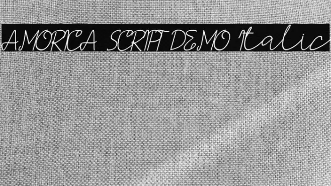 AMORICA SCRIPT DEMO Italic Font examples