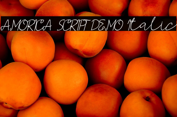 AMORICA SCRIPT DEMO Italic Example 3