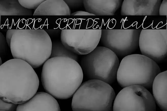 AMORICA SCRIPT DEMO Italic Font examples