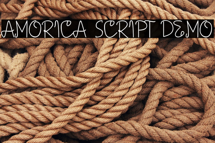 AMORICA SCRIPT DEMO Example 1